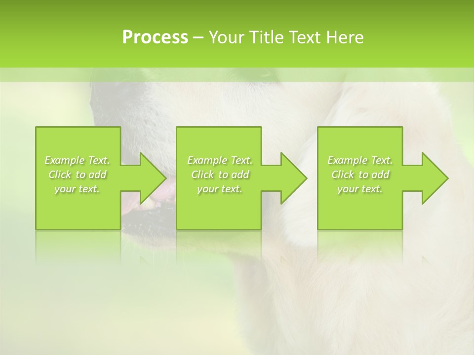 World View Graphic PowerPoint Template
