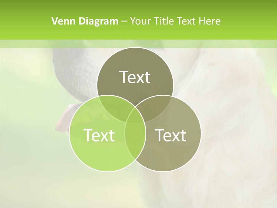 World View Graphic PowerPoint Template