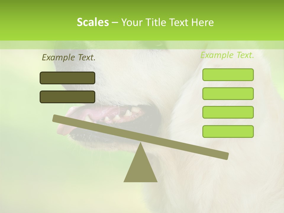 World View Graphic PowerPoint Template