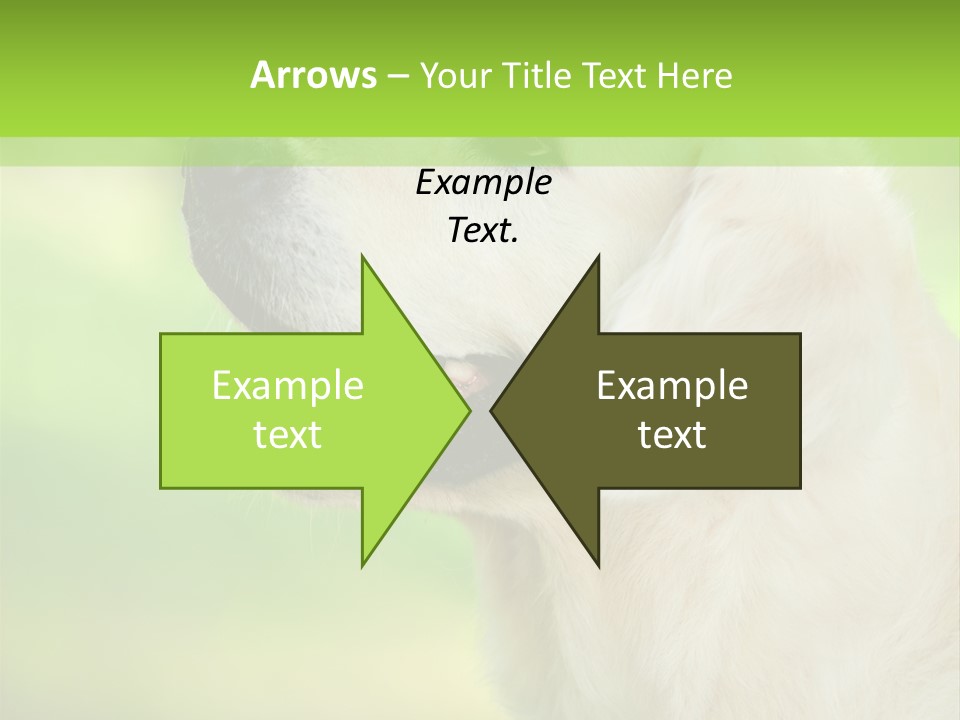 World View Graphic PowerPoint Template