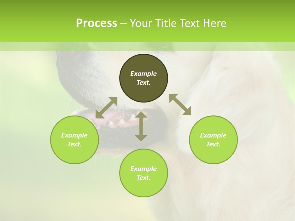 World View Graphic PowerPoint Template