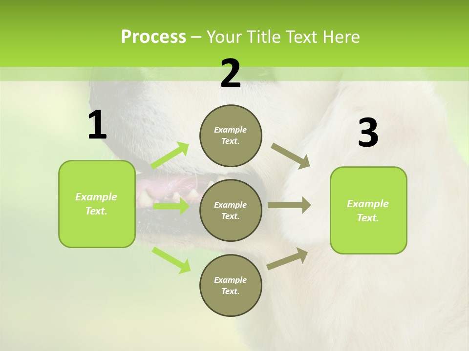 World View Graphic PowerPoint Template