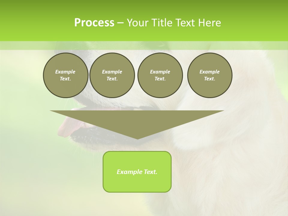 World View Graphic PowerPoint Template