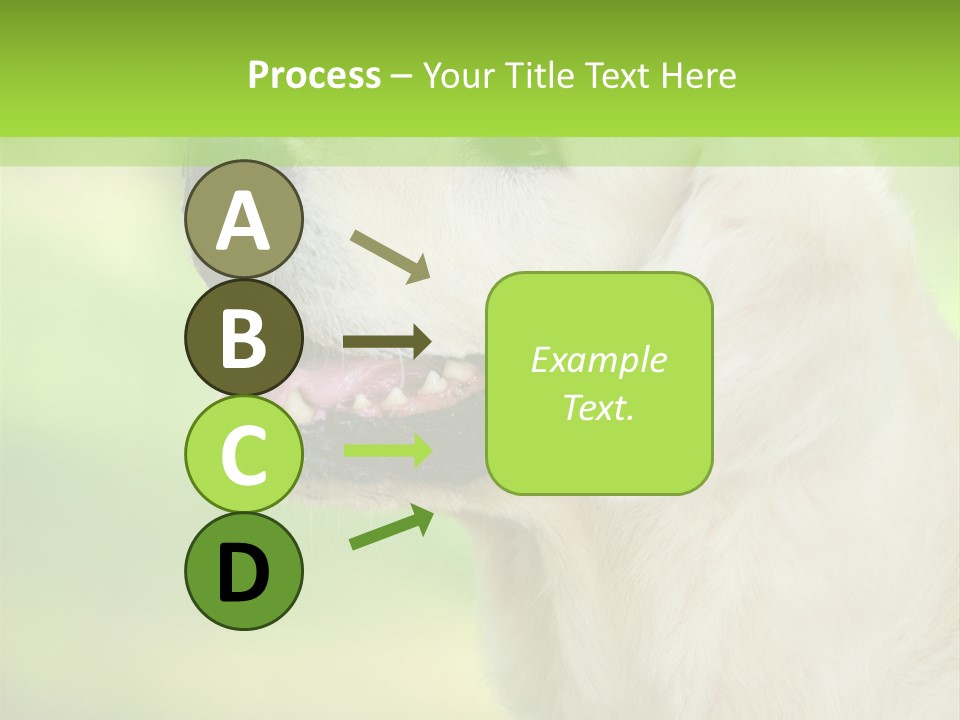 World View Graphic PowerPoint Template