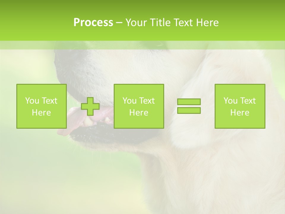 World View Graphic PowerPoint Template