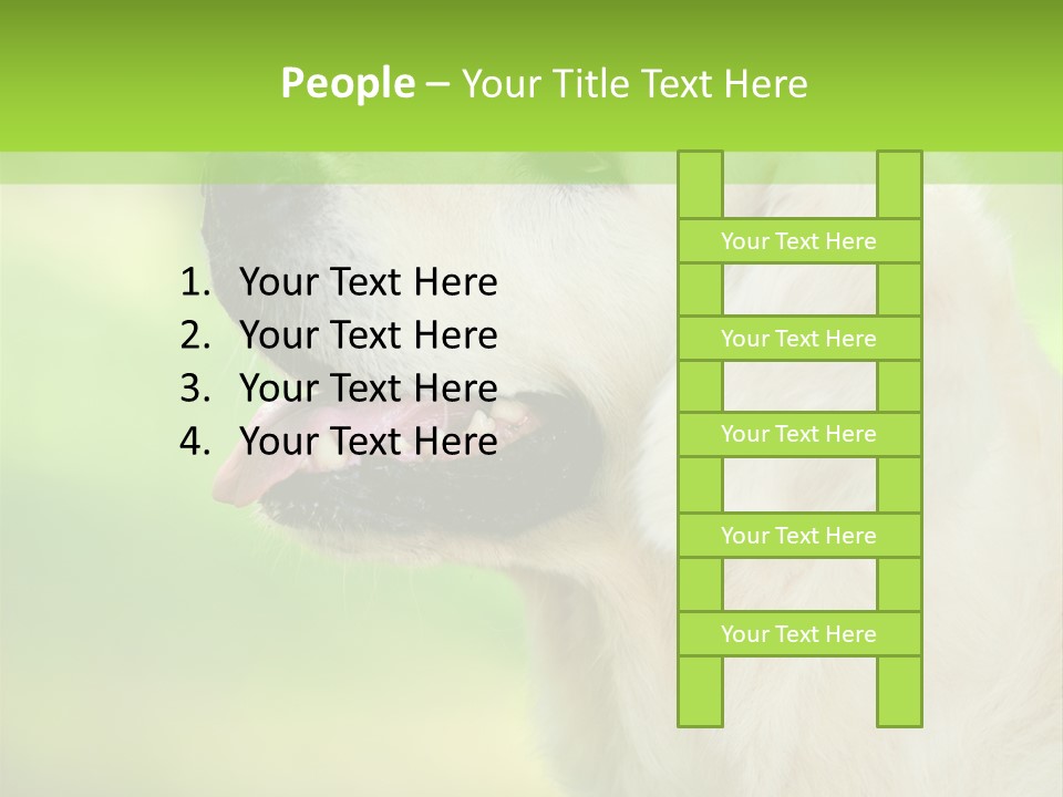 World View Graphic PowerPoint Template