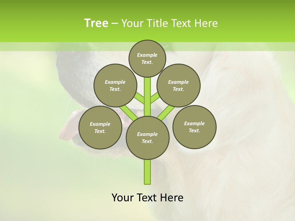 World View Graphic PowerPoint Template