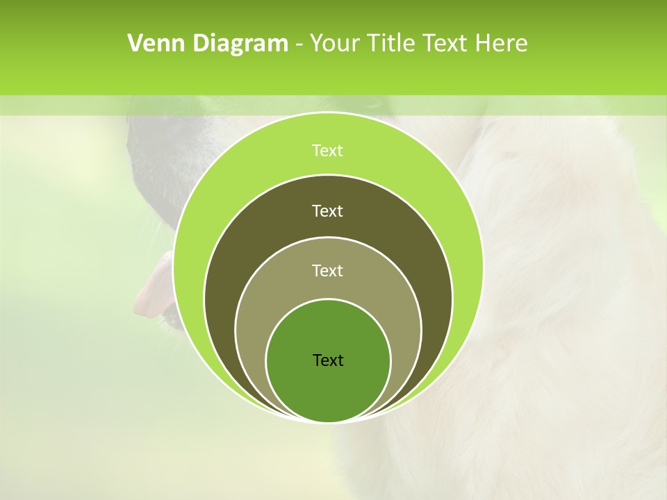 World View Graphic PowerPoint Template