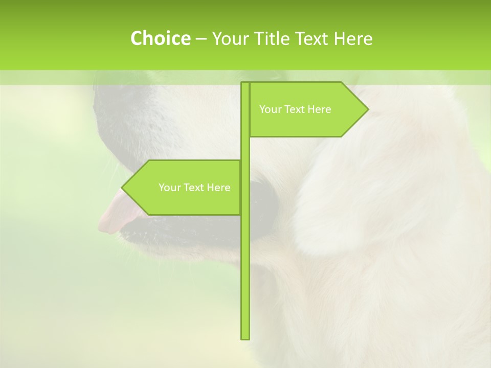 World View Graphic PowerPoint Template