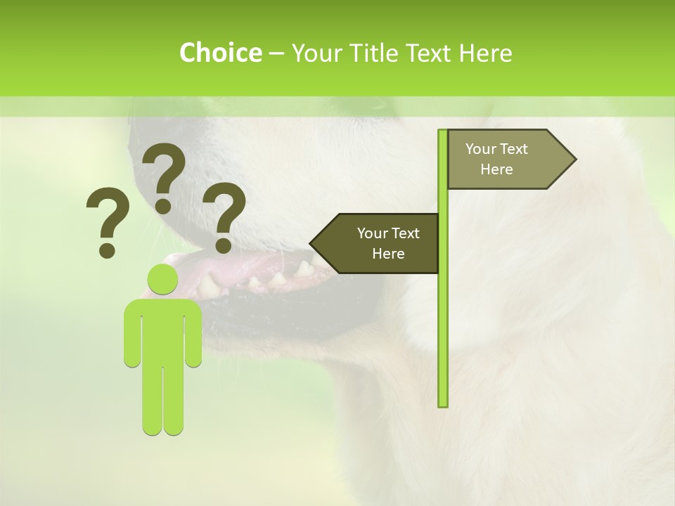 World View Graphic PowerPoint Template