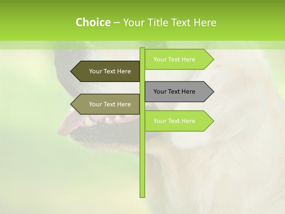 World View Graphic PowerPoint Template