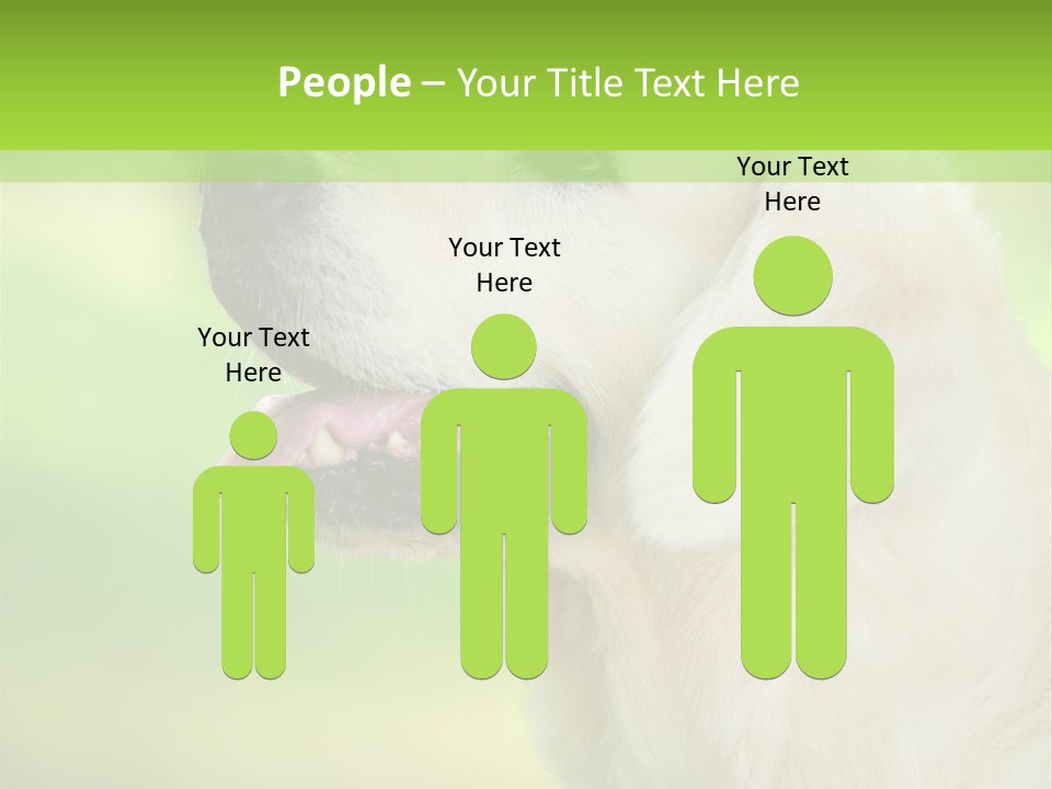 World View Graphic PowerPoint Template