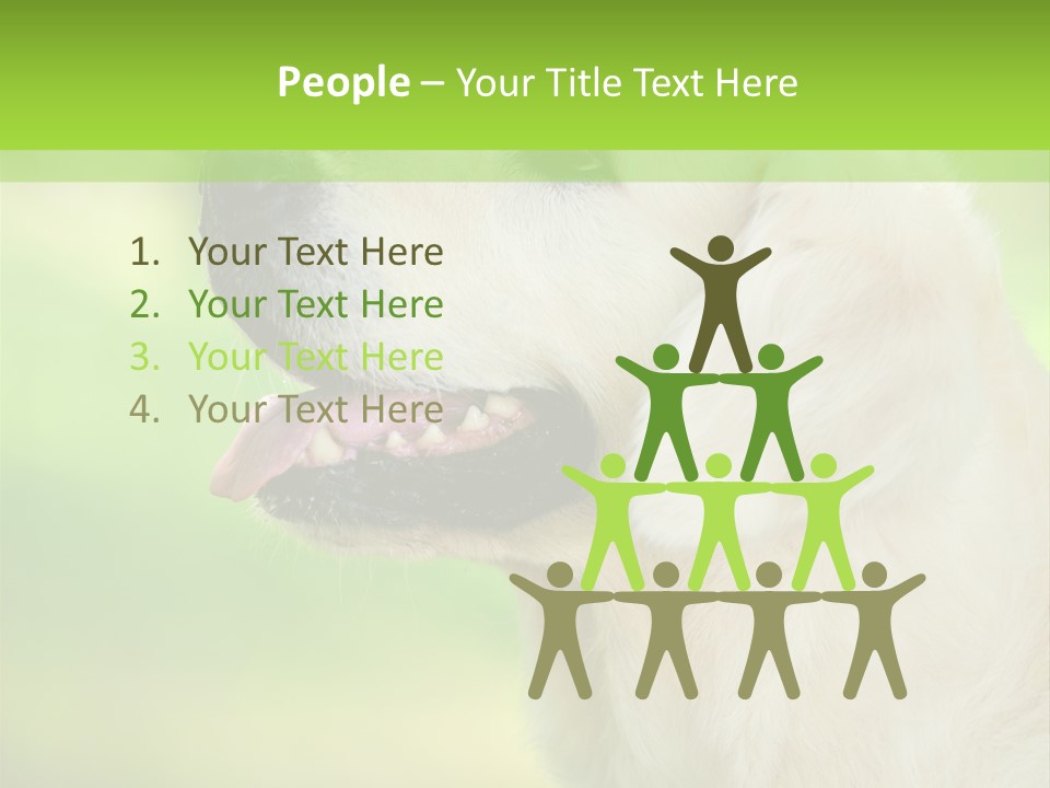 World View Graphic PowerPoint Template