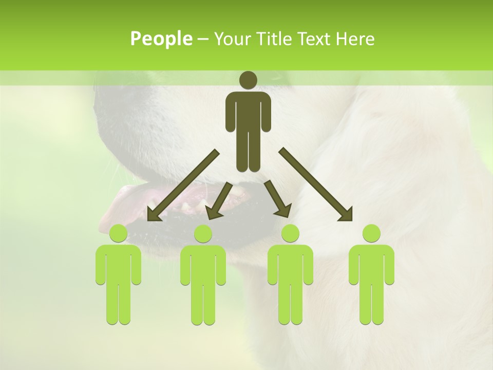 World View Graphic PowerPoint Template