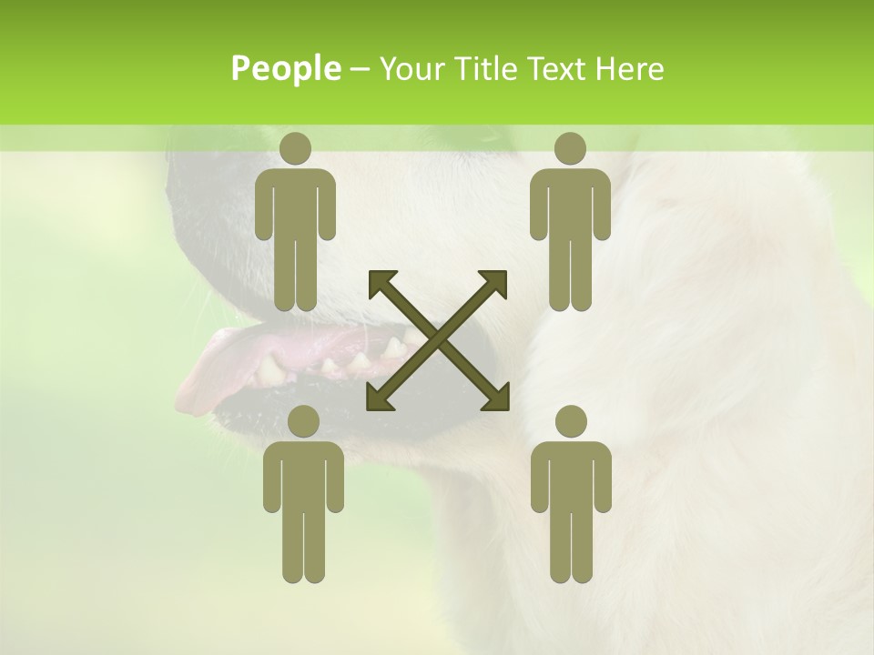 World View Graphic PowerPoint Template