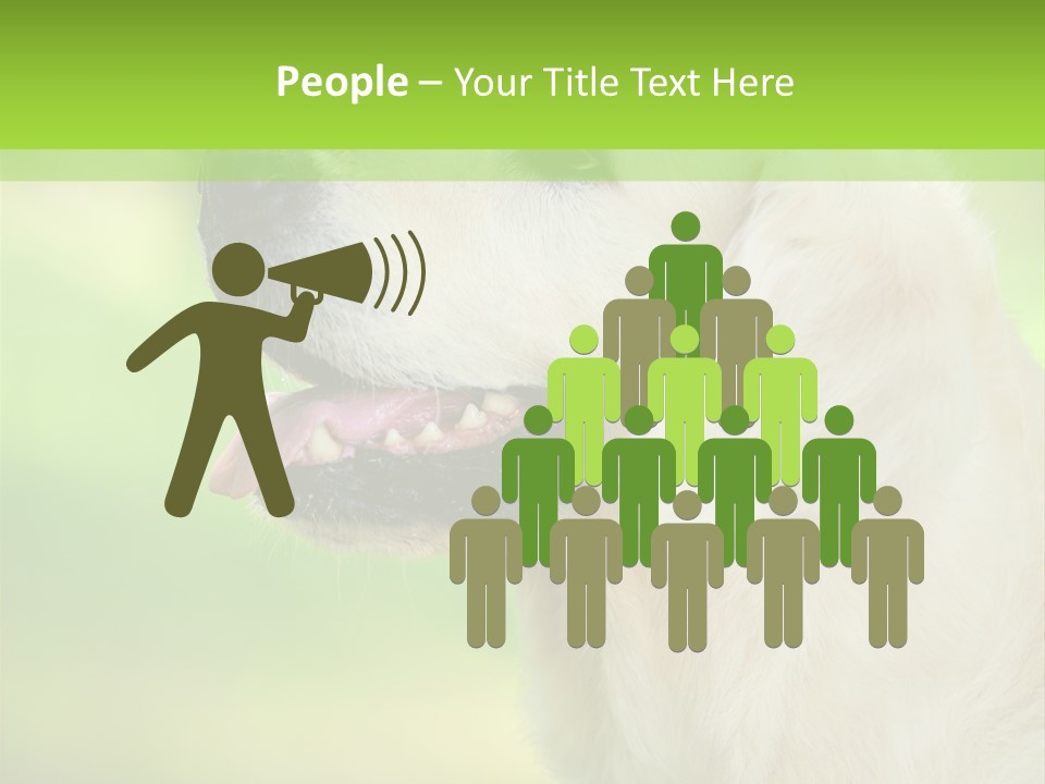 World View Graphic PowerPoint Template