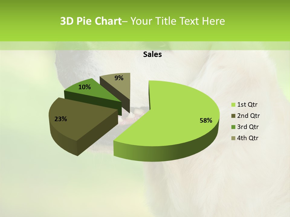 World View Graphic PowerPoint Template