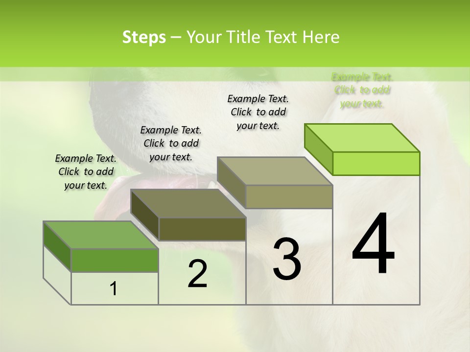 World View Graphic PowerPoint Template