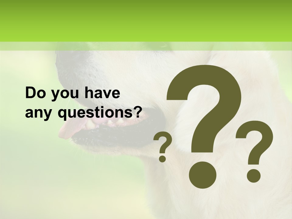 World View Graphic PowerPoint Template