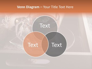 Town Tall Environment PowerPoint Template