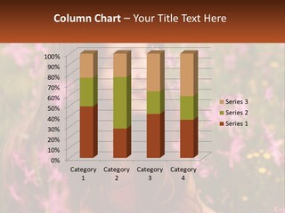 Environment View Shape PowerPoint Template