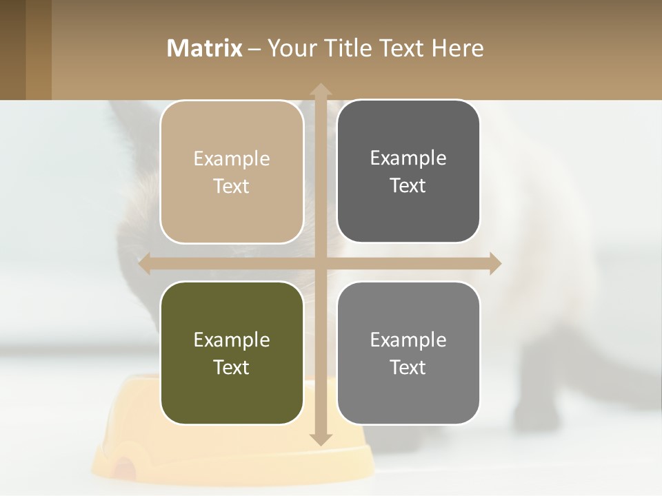 Ball Graphic Background PowerPoint Template