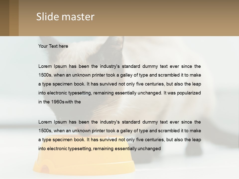 Ball Graphic Background PowerPoint Template