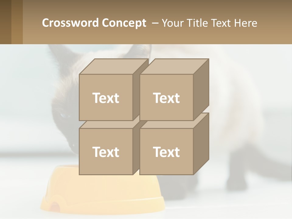 Ball Graphic Background PowerPoint Template