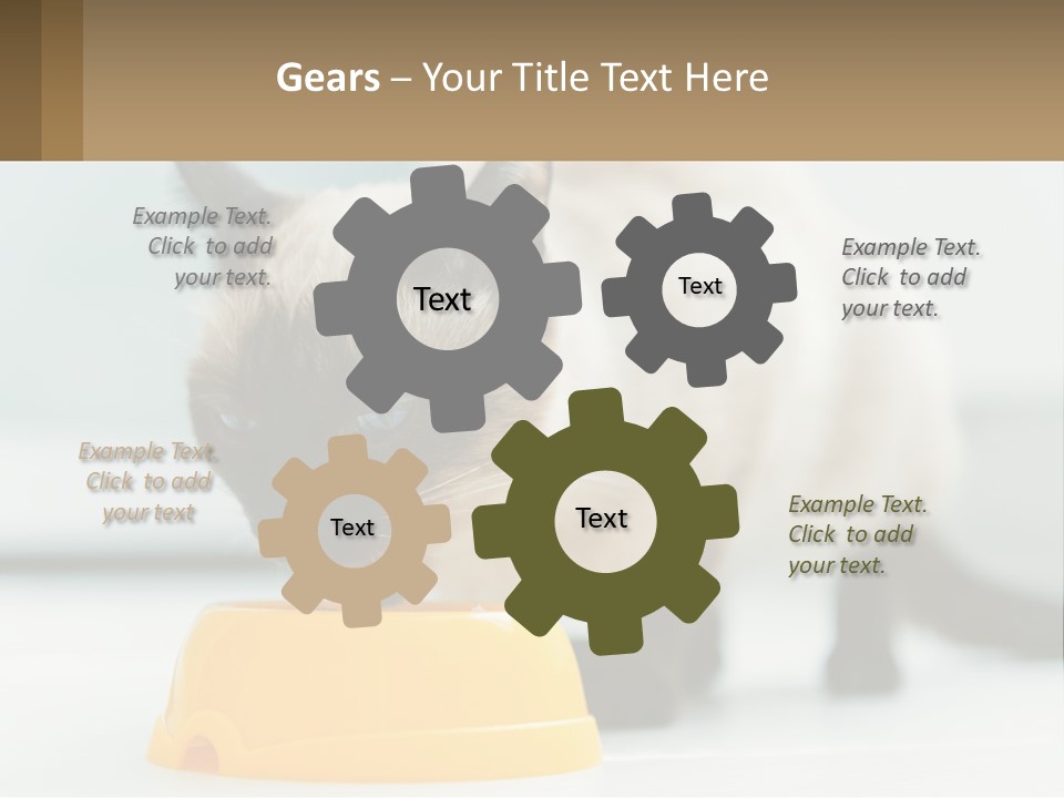 Ball Graphic Background PowerPoint Template