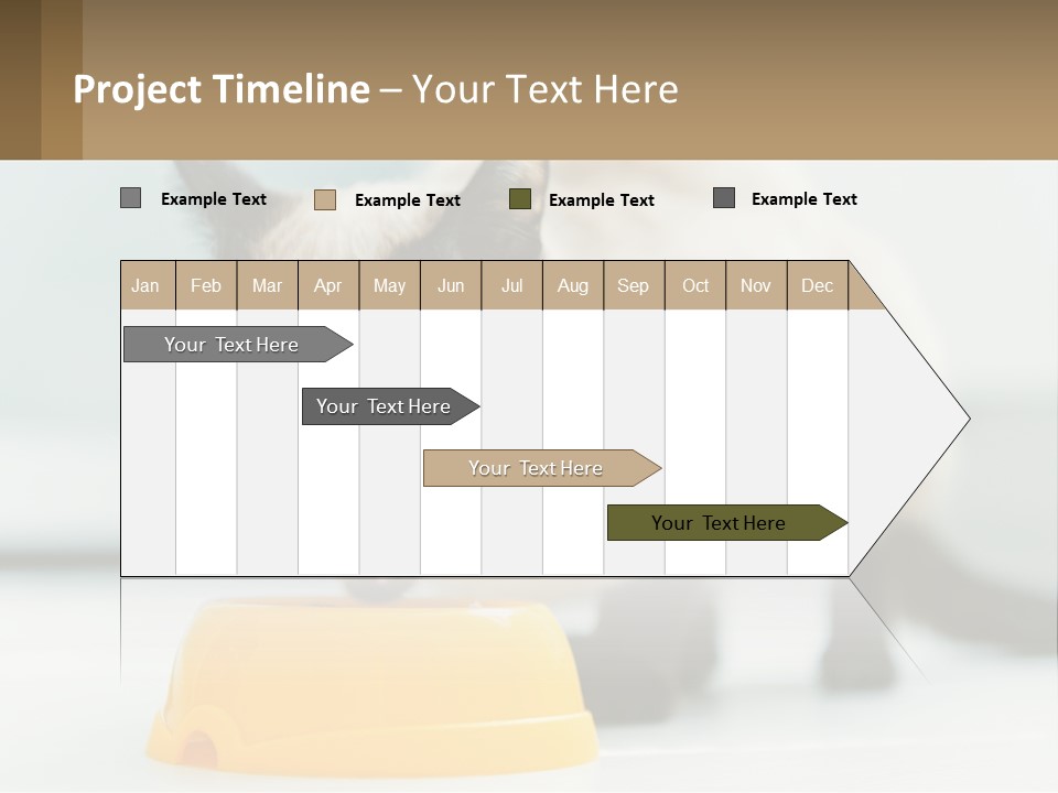 Ball Graphic Background PowerPoint Template