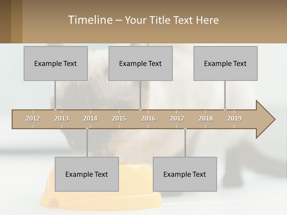 Ball Graphic Background PowerPoint Template