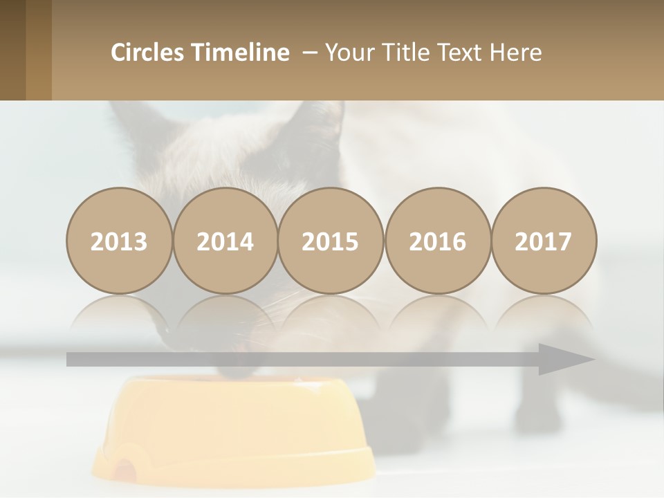 Ball Graphic Background PowerPoint Template