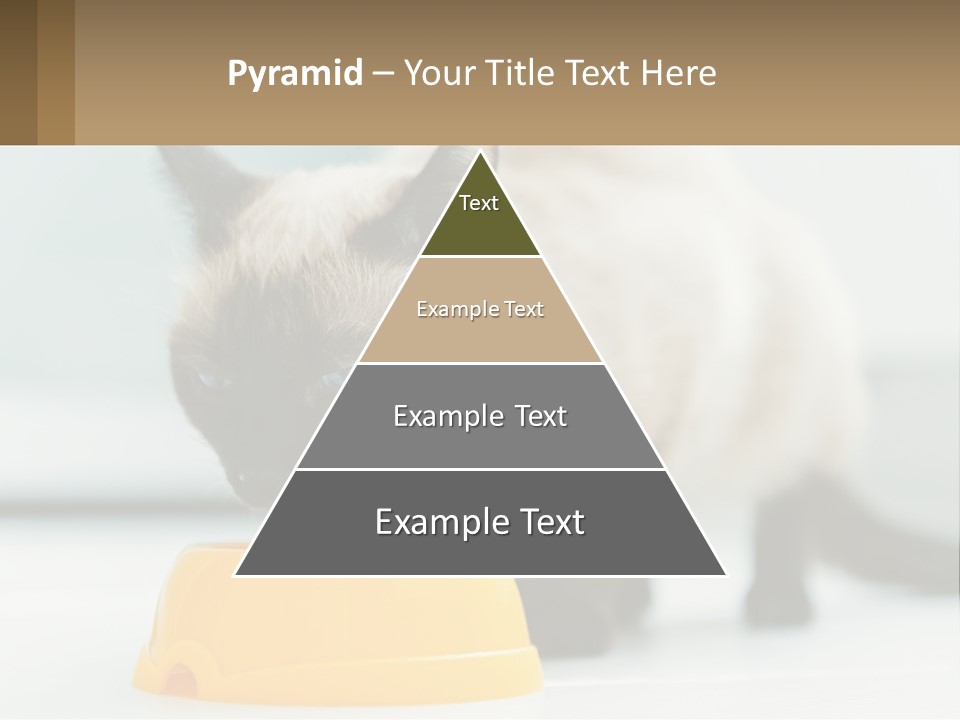 Ball Graphic Background PowerPoint Template