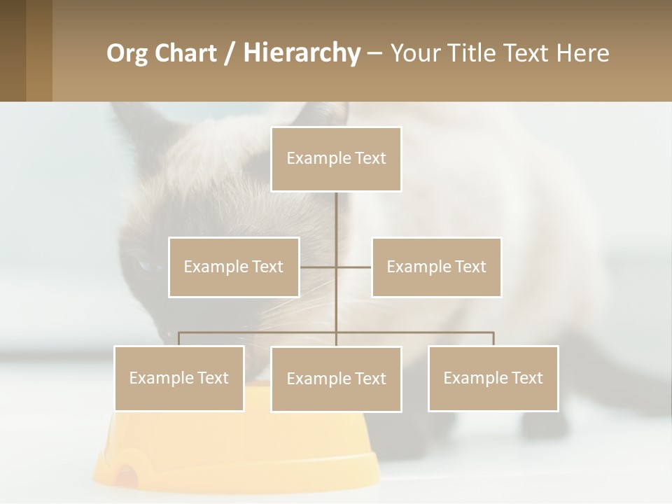 Ball Graphic Background PowerPoint Template