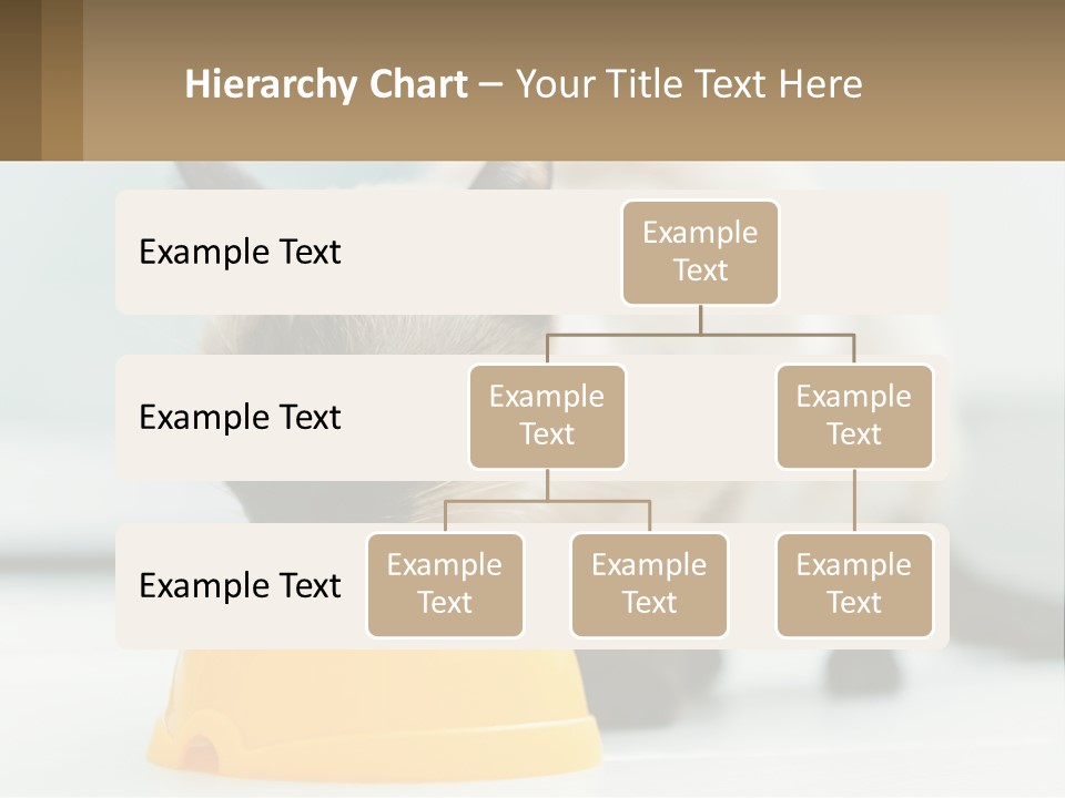 Ball Graphic Background PowerPoint Template
