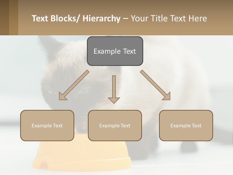 Ball Graphic Background PowerPoint Template