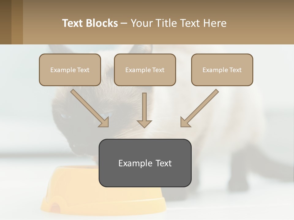 Ball Graphic Background PowerPoint Template