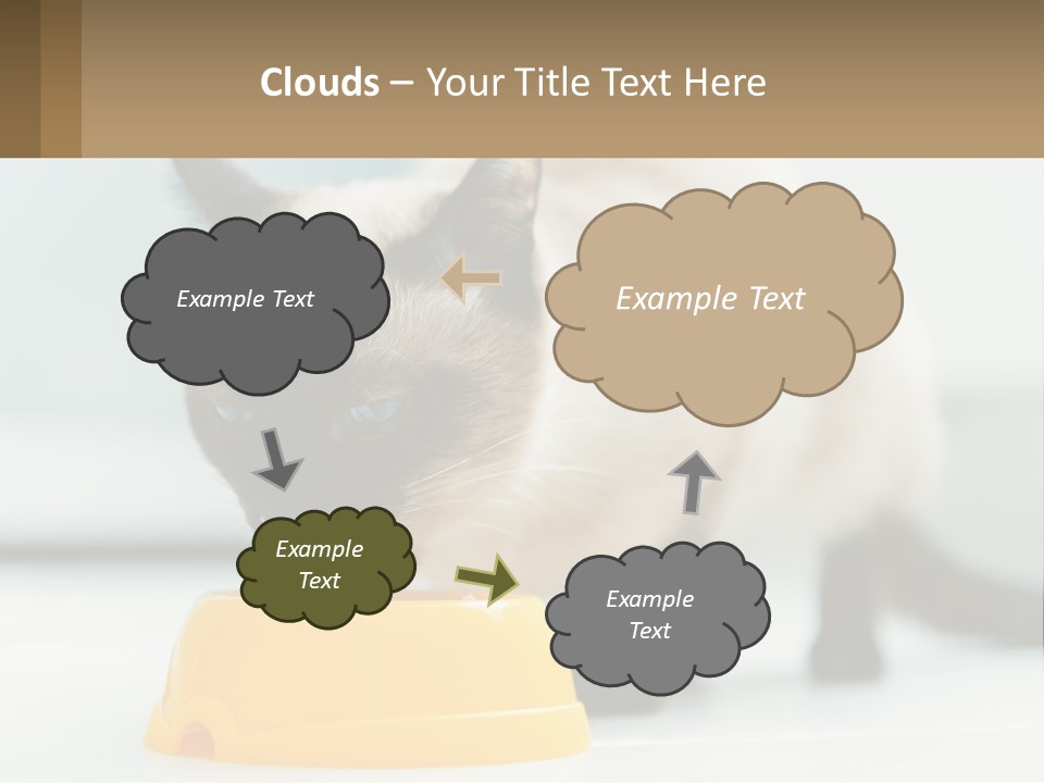 Ball Graphic Background PowerPoint Template