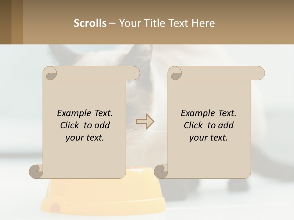Ball Graphic Background PowerPoint Template
