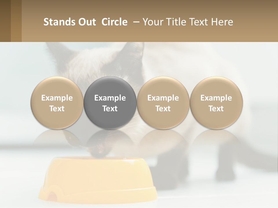 Ball Graphic Background PowerPoint Template