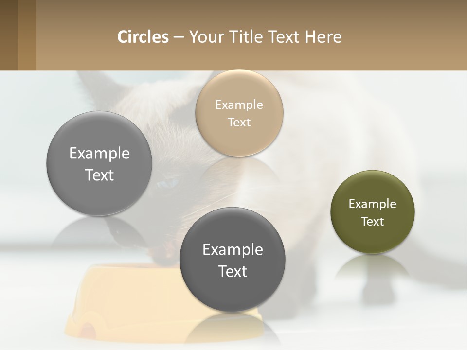 Ball Graphic Background PowerPoint Template