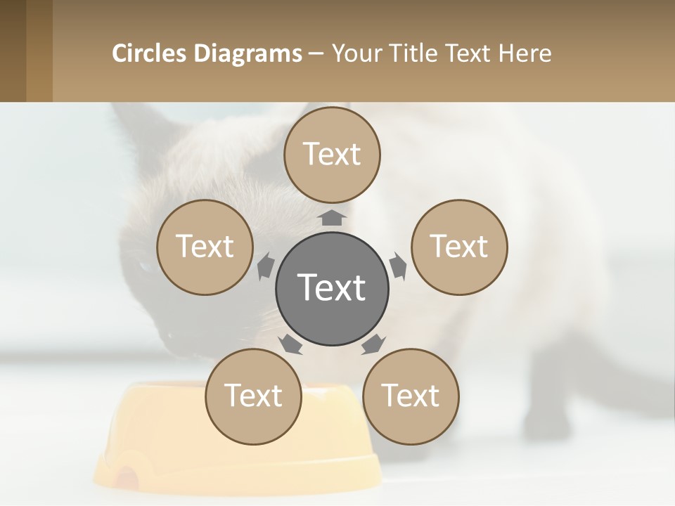 Ball Graphic Background PowerPoint Template