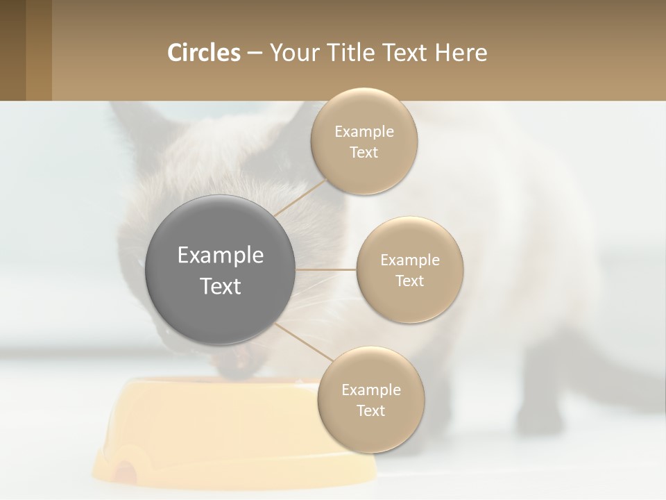 Ball Graphic Background PowerPoint Template