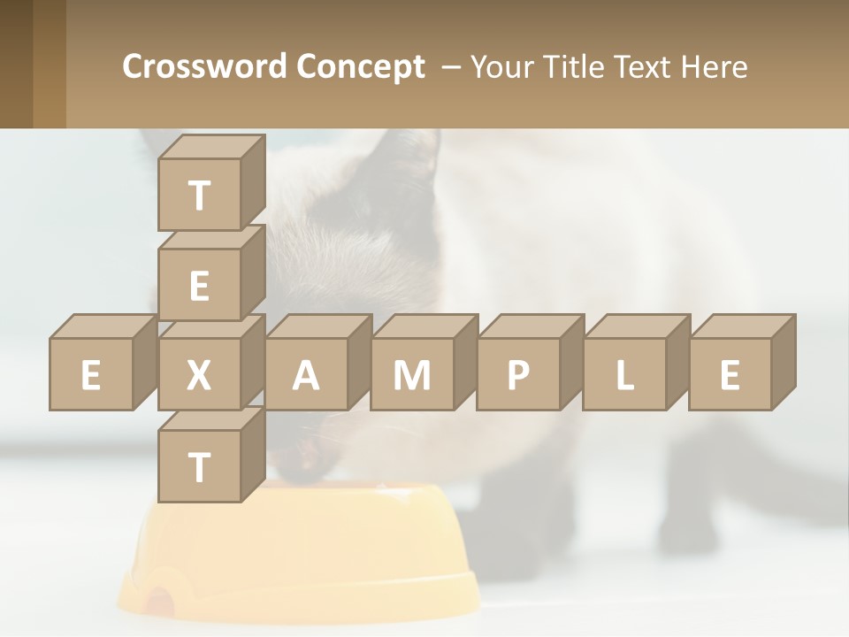 Ball Graphic Background PowerPoint Template