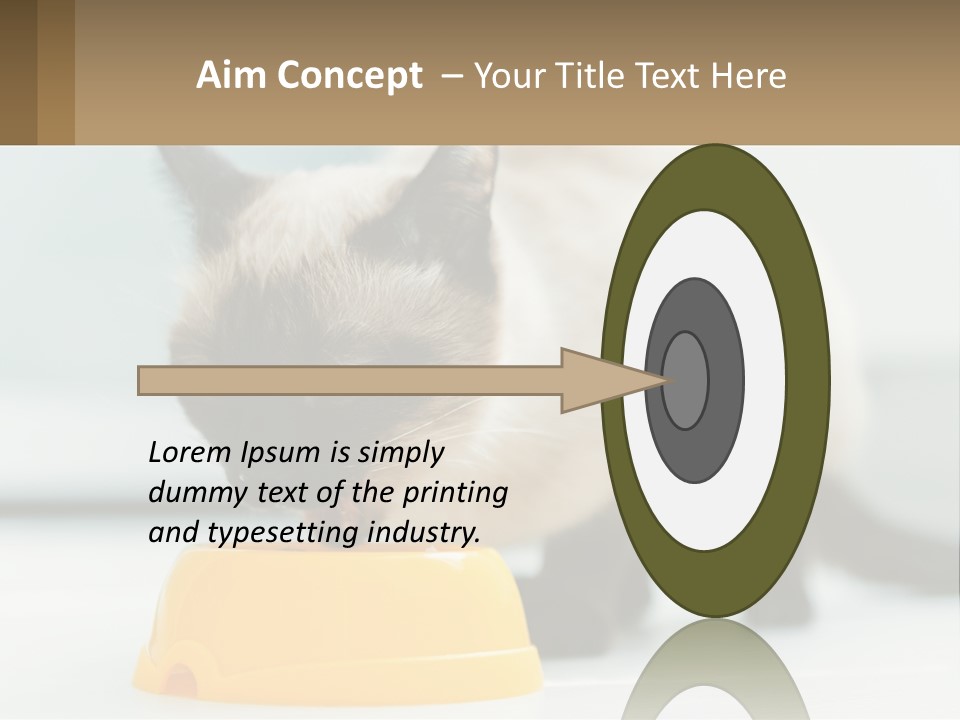 Ball Graphic Background PowerPoint Template