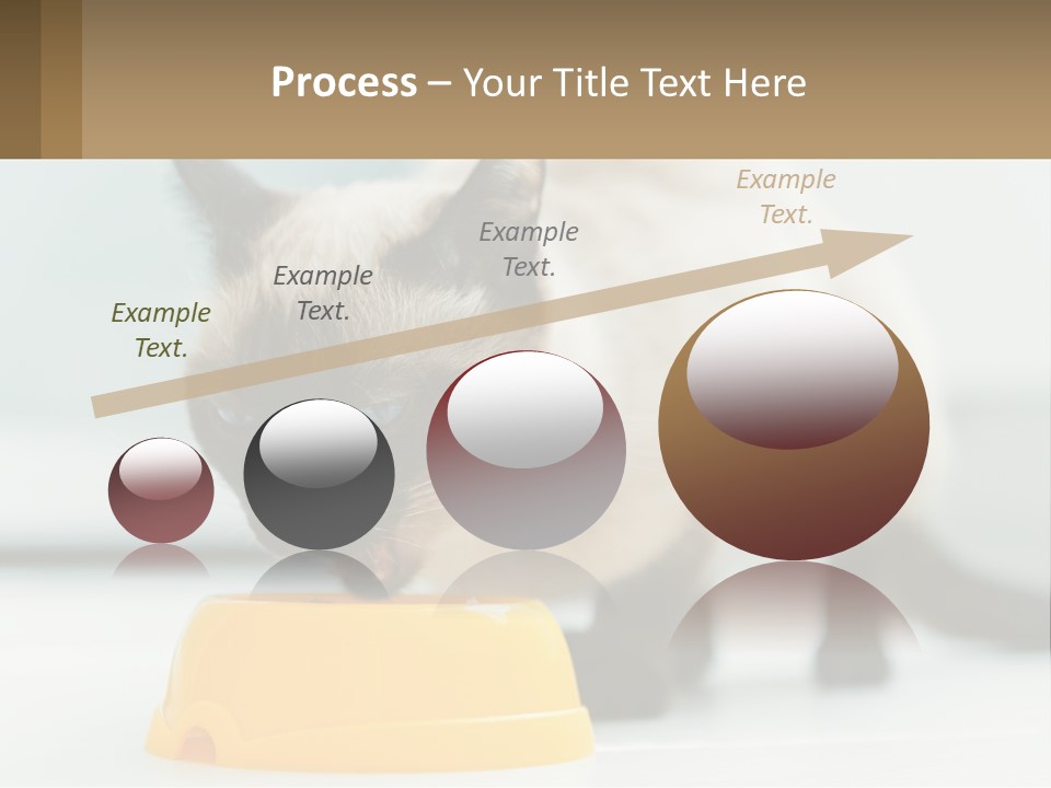 Ball Graphic Background PowerPoint Template