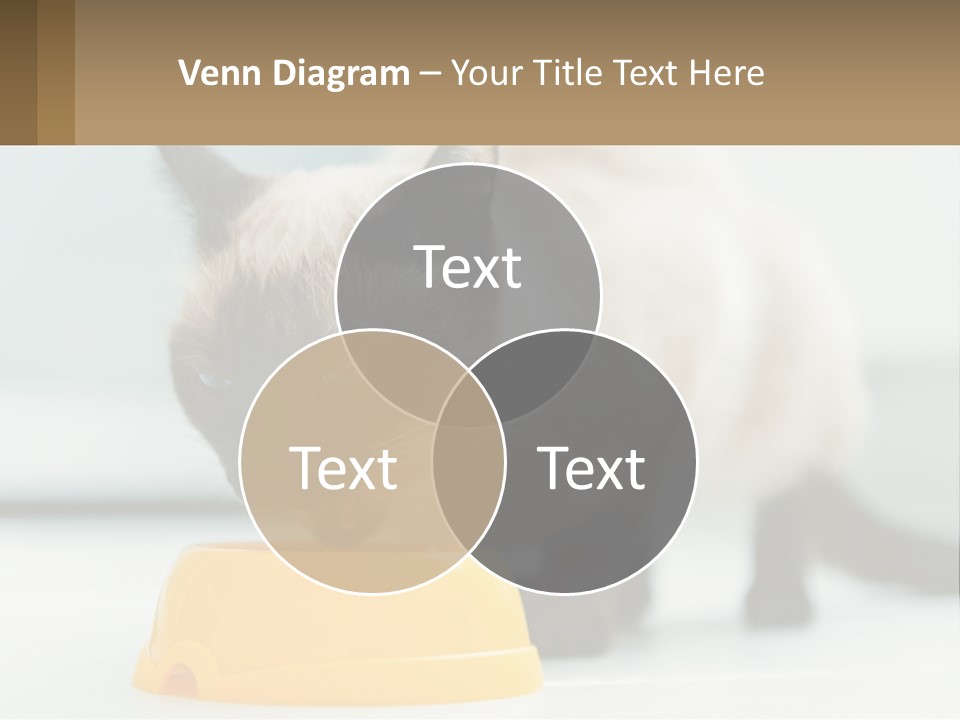 Ball Graphic Background PowerPoint Template