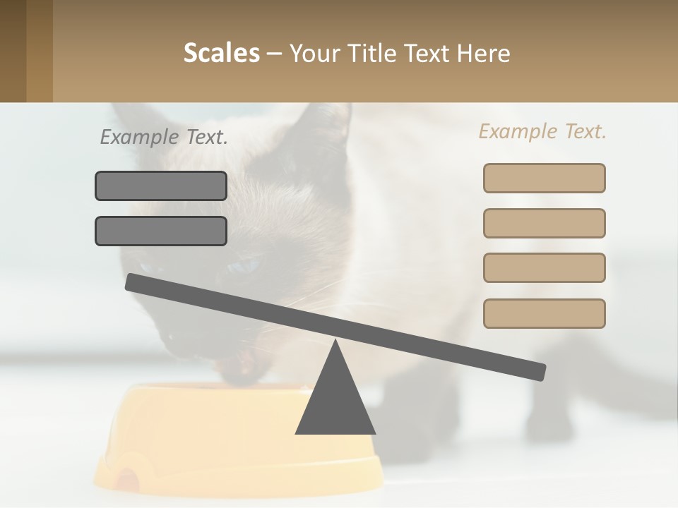 Ball Graphic Background PowerPoint Template