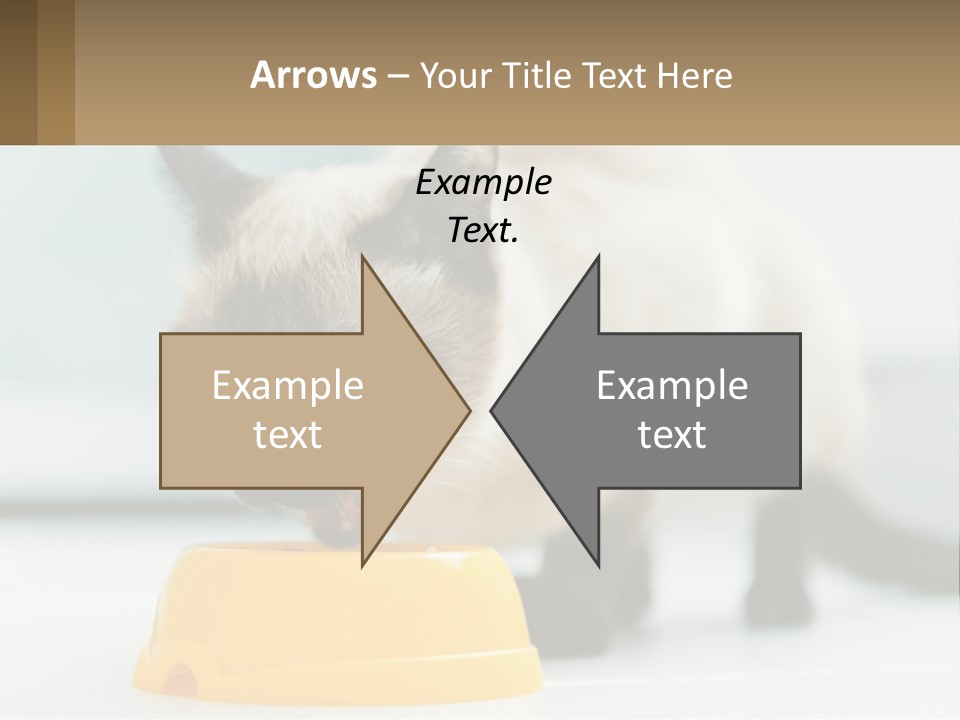 Ball Graphic Background PowerPoint Template