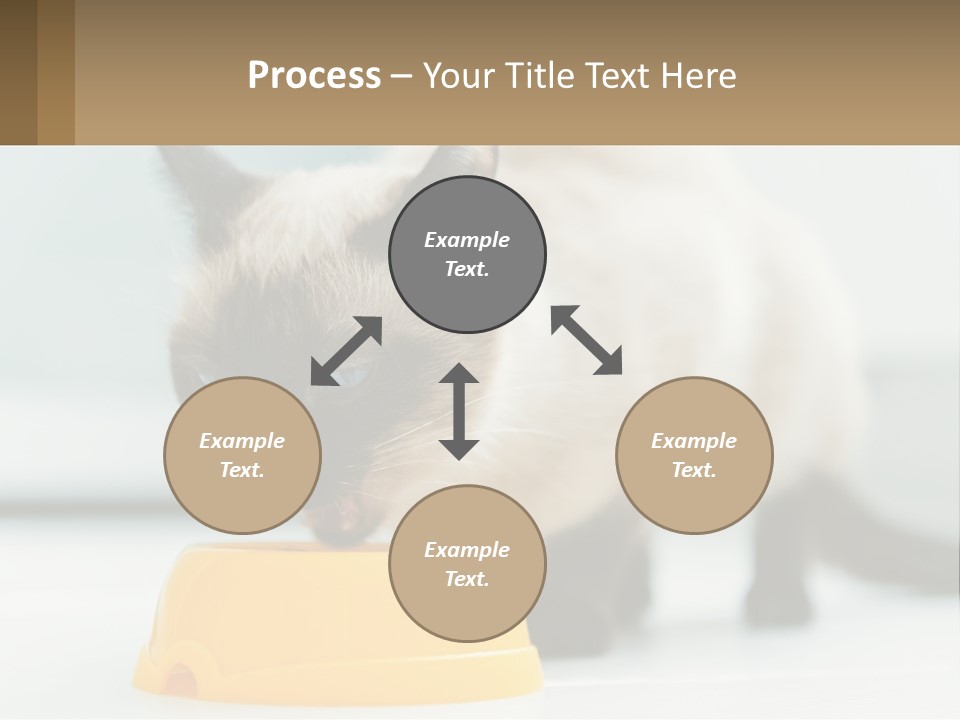 Ball Graphic Background PowerPoint Template